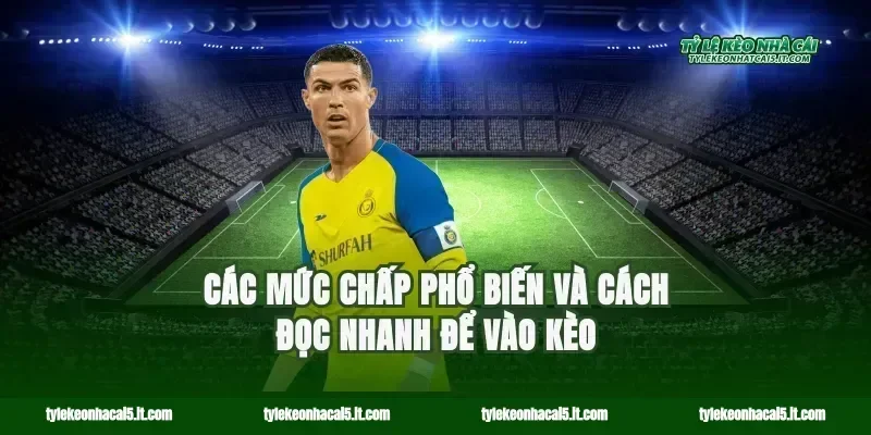 Các mức chấp phổ biến và cách đọc nhanh để vào kèo
